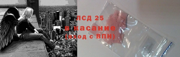 винт Верея