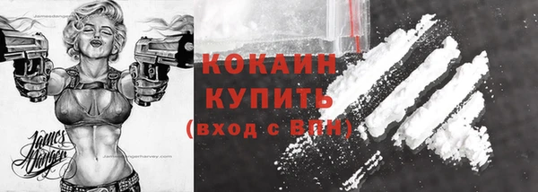 винт Верея